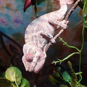 Meet your Posher, Keith